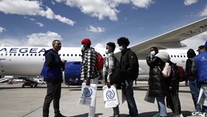 Quinze jovens refugiados chegaram a Portugal através de programa europeu