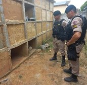 Polícia Militar ouve 'gritos de socorro' e resgata mulher que tinha sido sepultada viva no Brasil