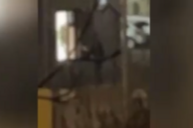 Sobe para oito o número de mortos no tiroteio de Hamburgo