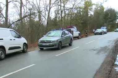 Homem morre ao cortar uma árvore em Vouzela