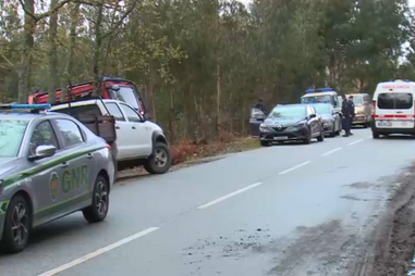 Homem morre ao cortar uma árvore em Vouzela