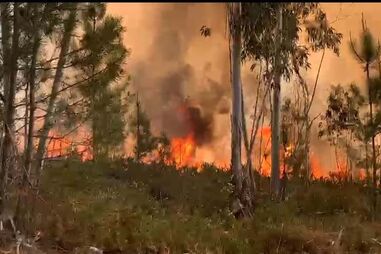 Incêndio Águeda