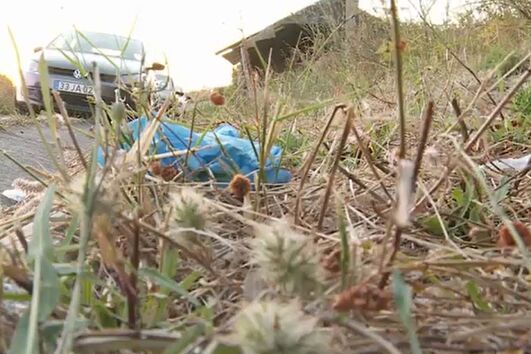 Menor abandonada pelo pai encontrada na berma da estrada em Azeitão