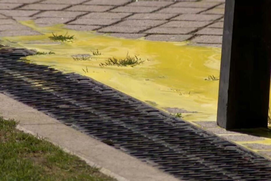 Ativistas ambientais pintam fachada da sede da EDP em protesto contra lucros
