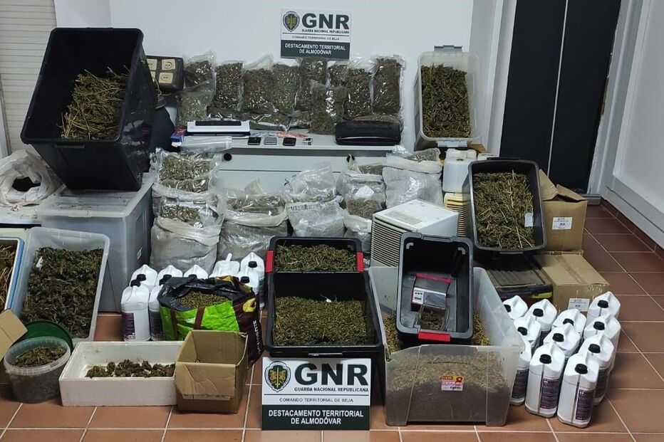 GNR detém casal por tráfico e apreende 38 mil doses de liamba em Almodôvar