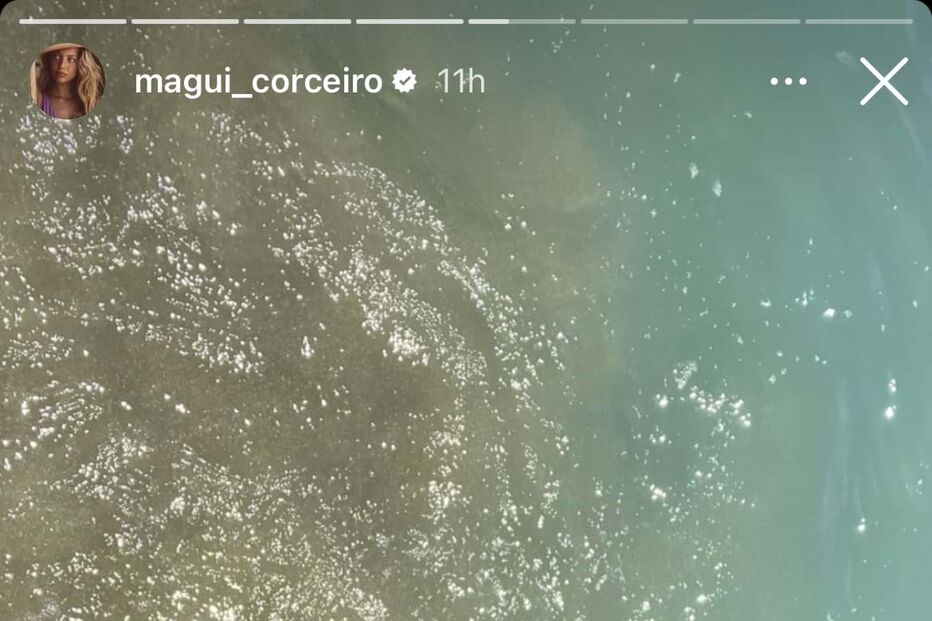 Margarida Corceiro no Instagram