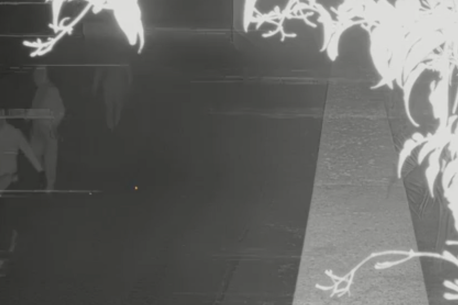 Paula Cunha acordou com os assaltantes em cima dela