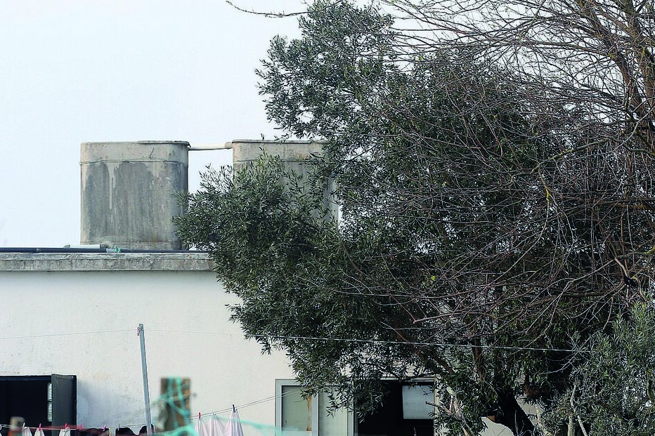 Lar clandestino em Palmela fecha por falta de condições