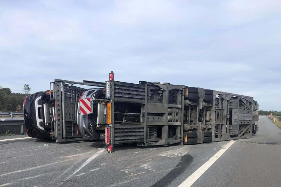 Camião despista-se na A6