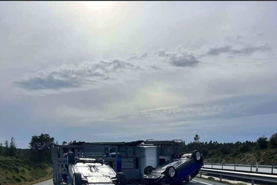 Camião despista-se na A6