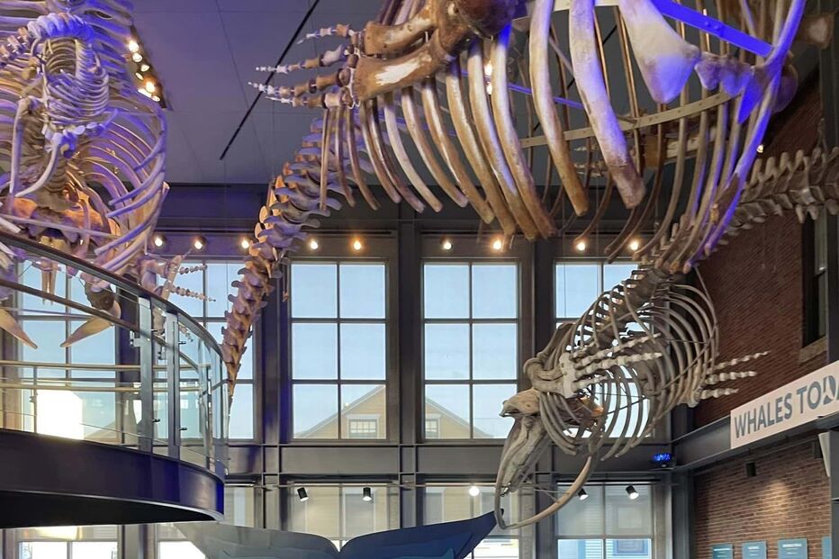 New Bedford Whaling Museum