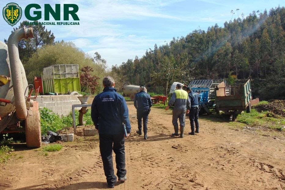 Fiscalização agropecuaria