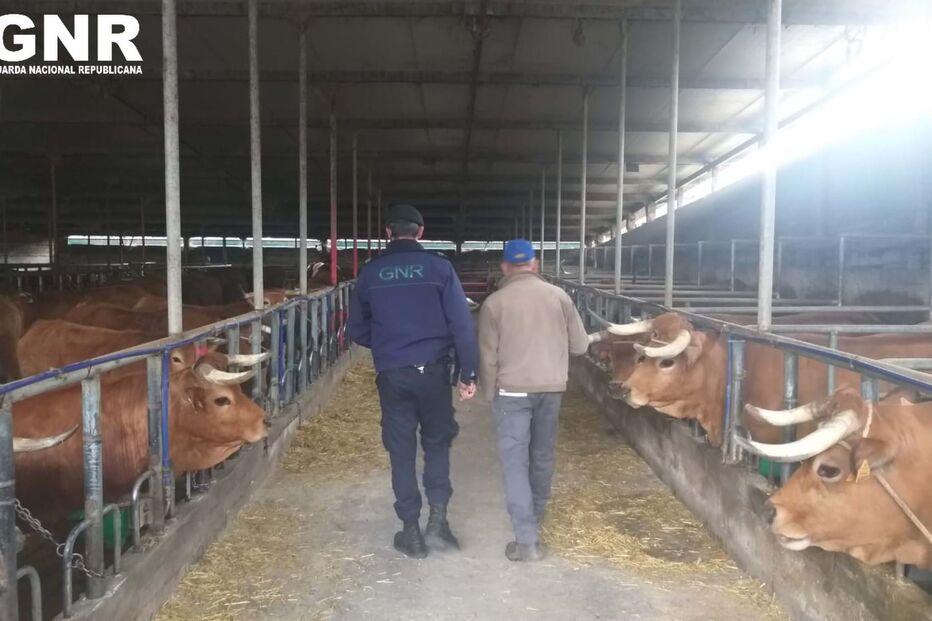 Fiscalização agropecuaria