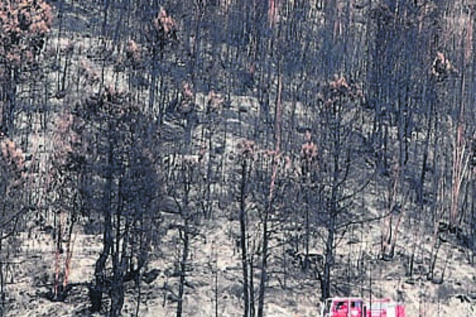 Serra da Estrela, incêndio, fogo, bombeiros