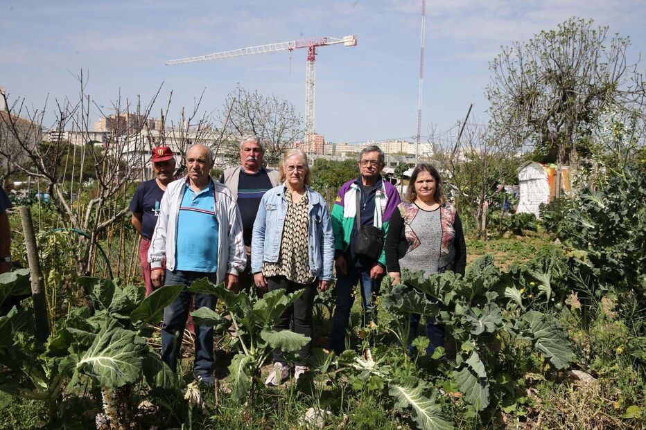 Marvila, Lisboa, hortas