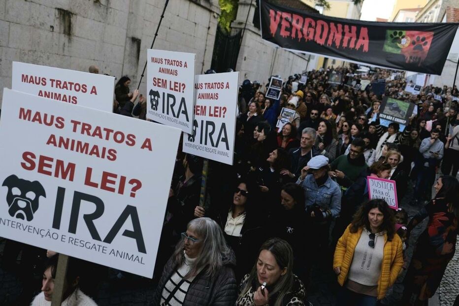 IRA, animais, maus-tratos