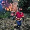 <![CDATA[ Portugueses são dos que mais receiam incêndios florestais ]]>