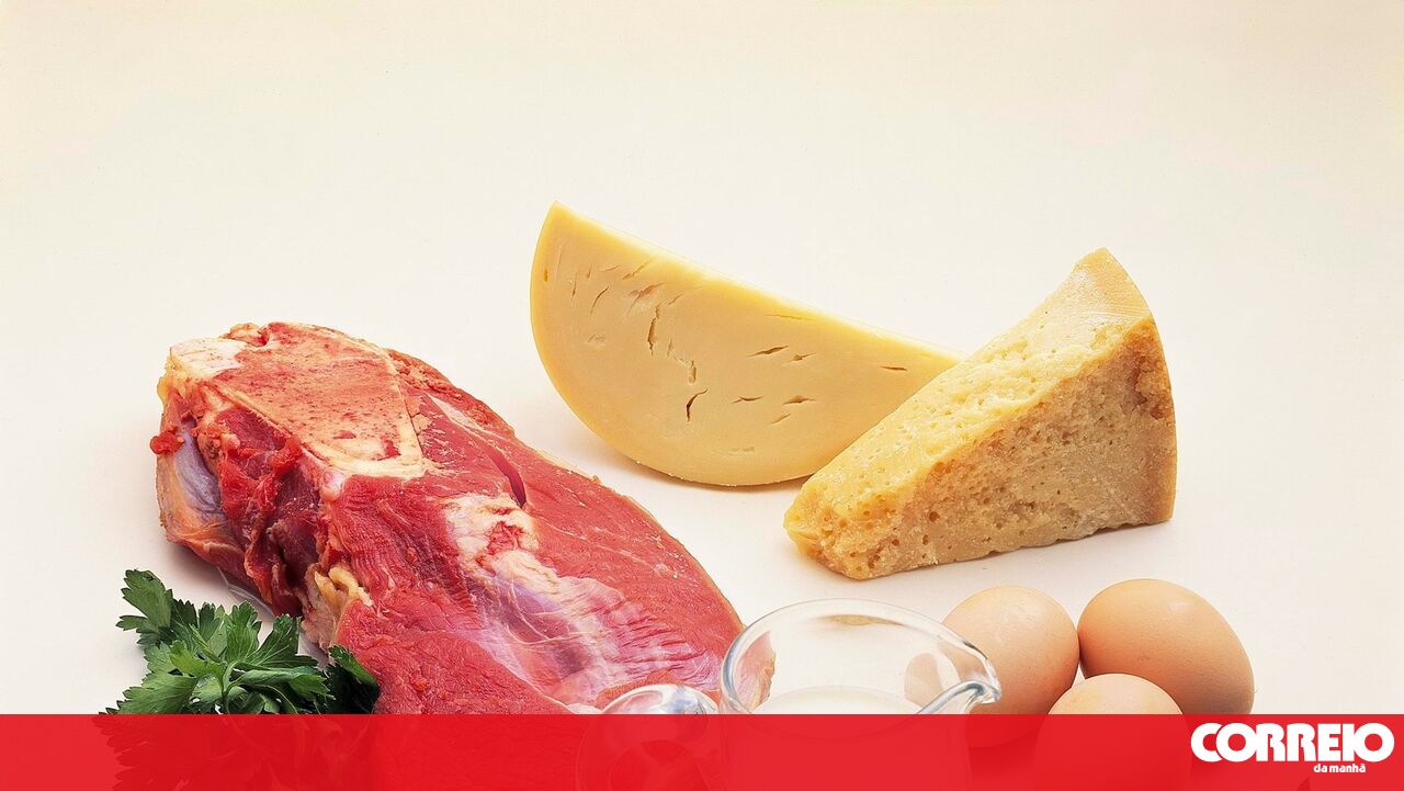 Carne, ovos e leite oferecem nutrientes essenciais especialmente para ...