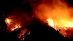 Região das Astúrias com 95 incêndios ativos numa altura em que bate recorde de temperaturas máximas