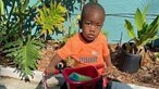 Bebé de dois anos encontrado morto dentro de boca de jacaré e mãe esfaqueada em casa