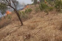 Incêndio em Santiago, Cabo Verde