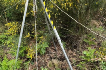 Bombeiros de Freamunde resgatam cadela de poço 