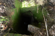 Bombeiros de Freamunde resgatam cadela de poço 