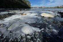 Rio fica pintado de branco após descarga de camião em Vila do Conde