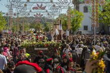 2023-04-28_14_17_02 Batalha Flores (1).jpg