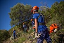 GNR deteta quase 14 mil terrenos por limpar