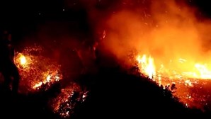 Região das Astúrias com 95 incêndios ativos numa altura em que bate recorde de temperaturas máximas