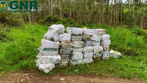 Narcotraficantes abandonam cerca de 1,8 toneladas de cocaína em Peniche e Óbidos