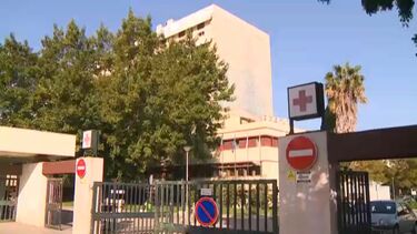 Cadela arranca-lhe dedo e só é operado ao fim de 25 horas