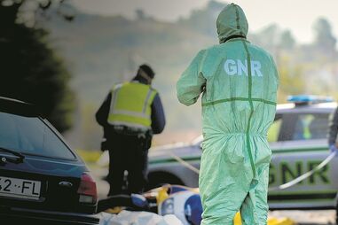 Acidentes rodoviários