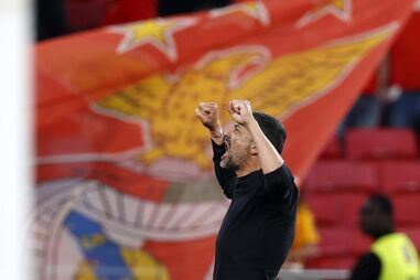 Sérgio Conceição, festejos, vitória, estádio da luz