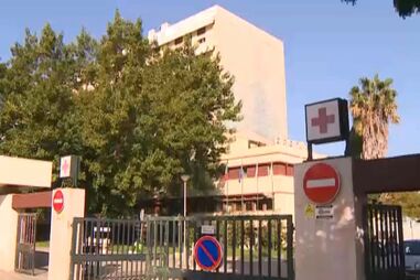 Cadela arranca-lhe dedo e só é operado ao fim de 25 horas