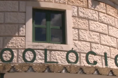  Zoo de Lisboa alerta para burla com passatempo falso no Facebook para roubar dinheiro a participantes