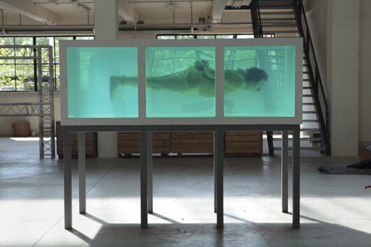 David Černý, Shark, 2005