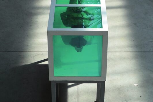 David Černý, Shark, 2005