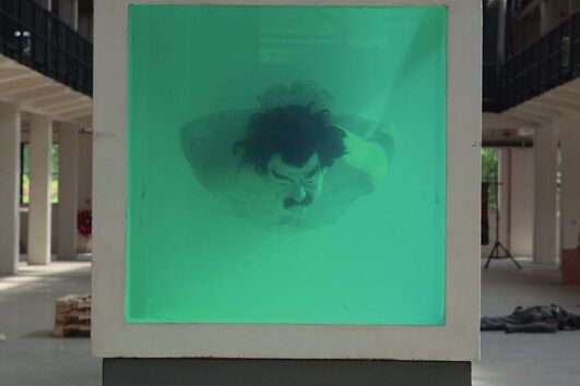 David Černý, Shark, 2005