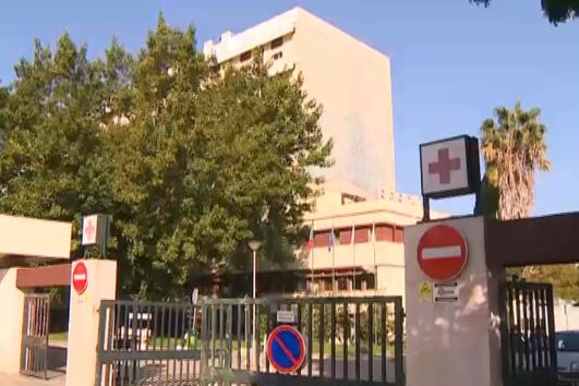 Cadela arranca-lhe dedo e só é operado ao fim de 25 horas