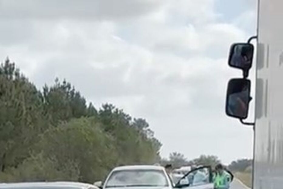 EN118, detenção, javali, Samora Correia 