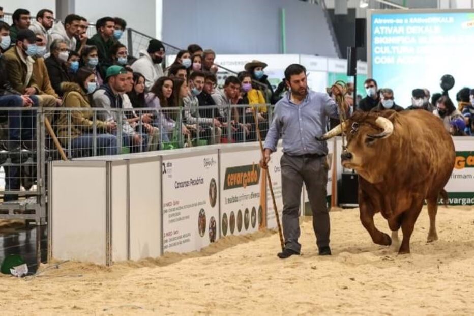 2023-04-03_10_34_06 AGRO 2023 3.JPG