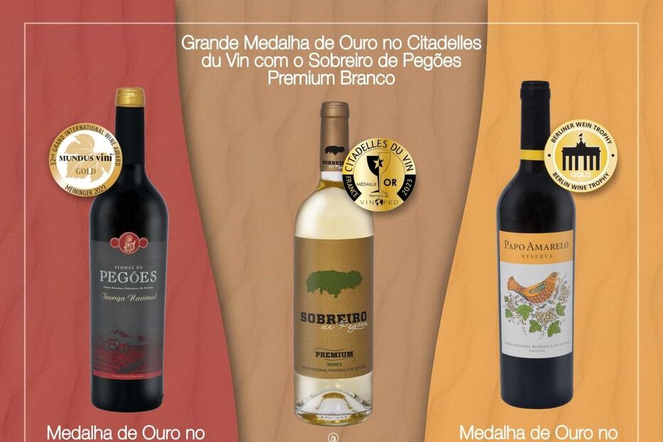 2023-04-03_17_02_01 mundus vini + berliner wine trophy + citadelles du vin - 2023.jpg