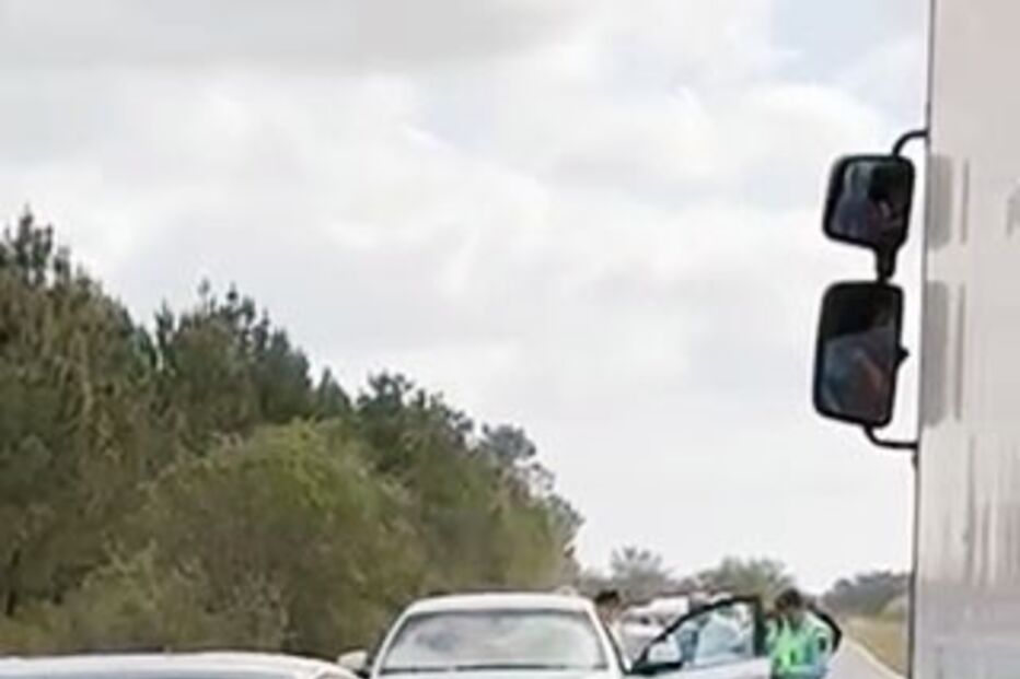 BMW, javali, burlas Glória do Ribatejo