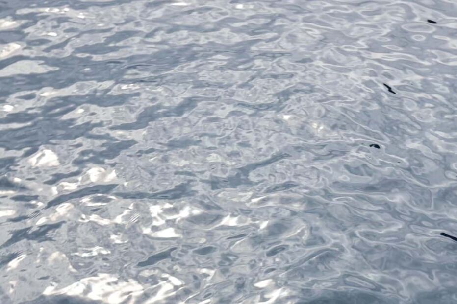 Cristina Ferreira e Rúben Rua