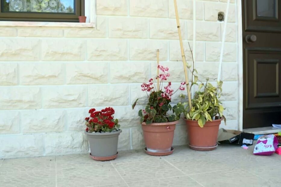 Mulher agredida pelo marido desaparece três dias após receber botão de pânico