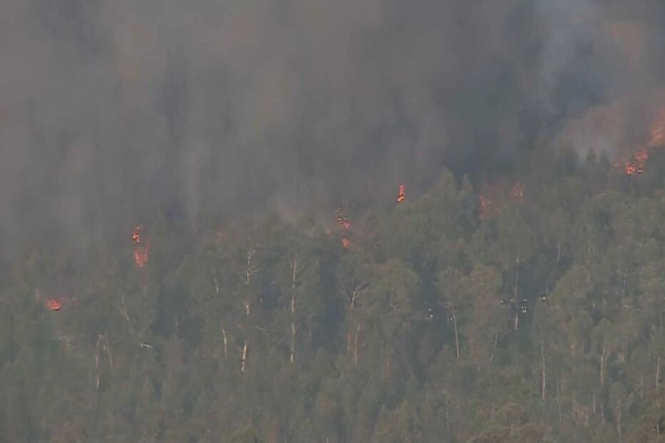 Incêndio em Vila Verde 