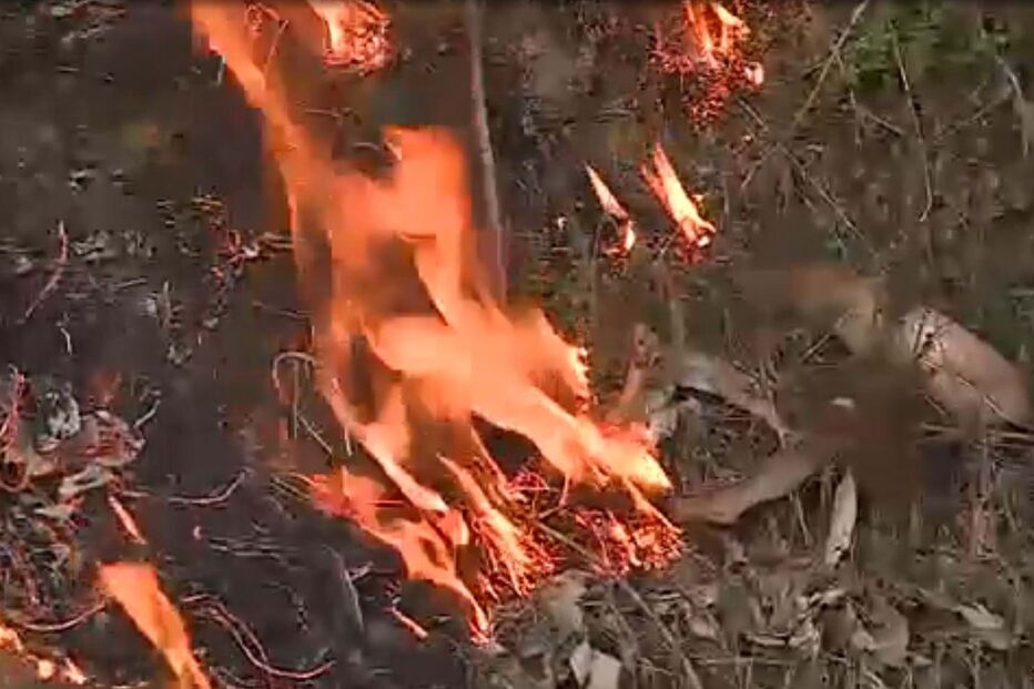 Incêndio em Vila Verde