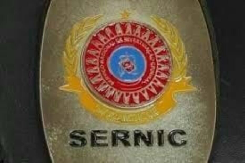 Sernic